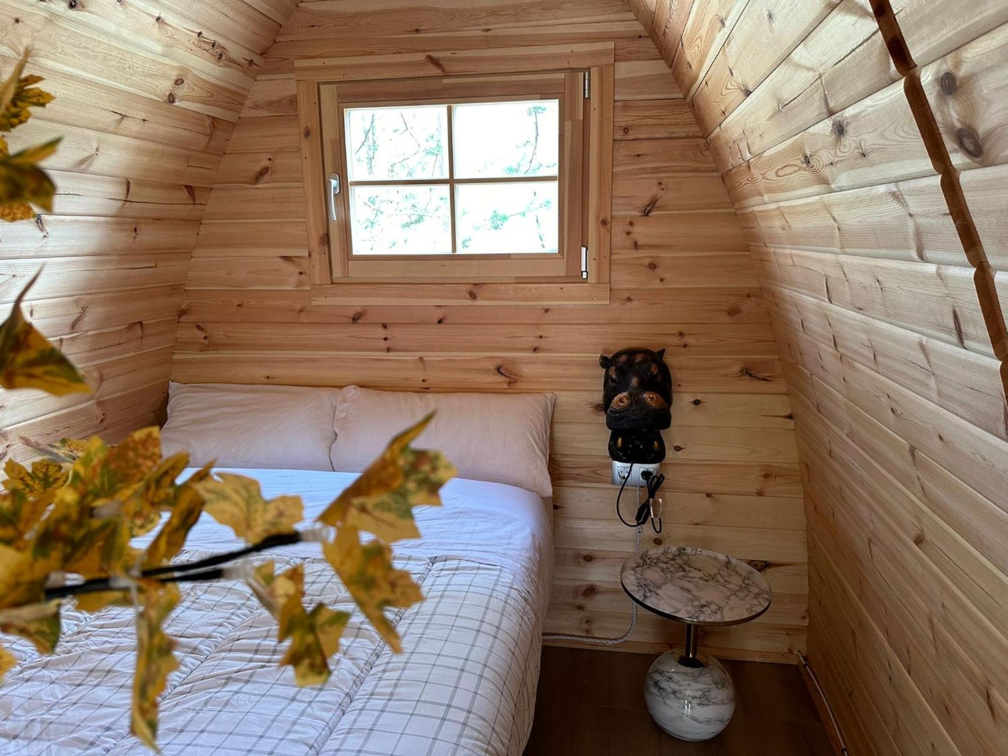 Camping Ripolles Kültér fotó