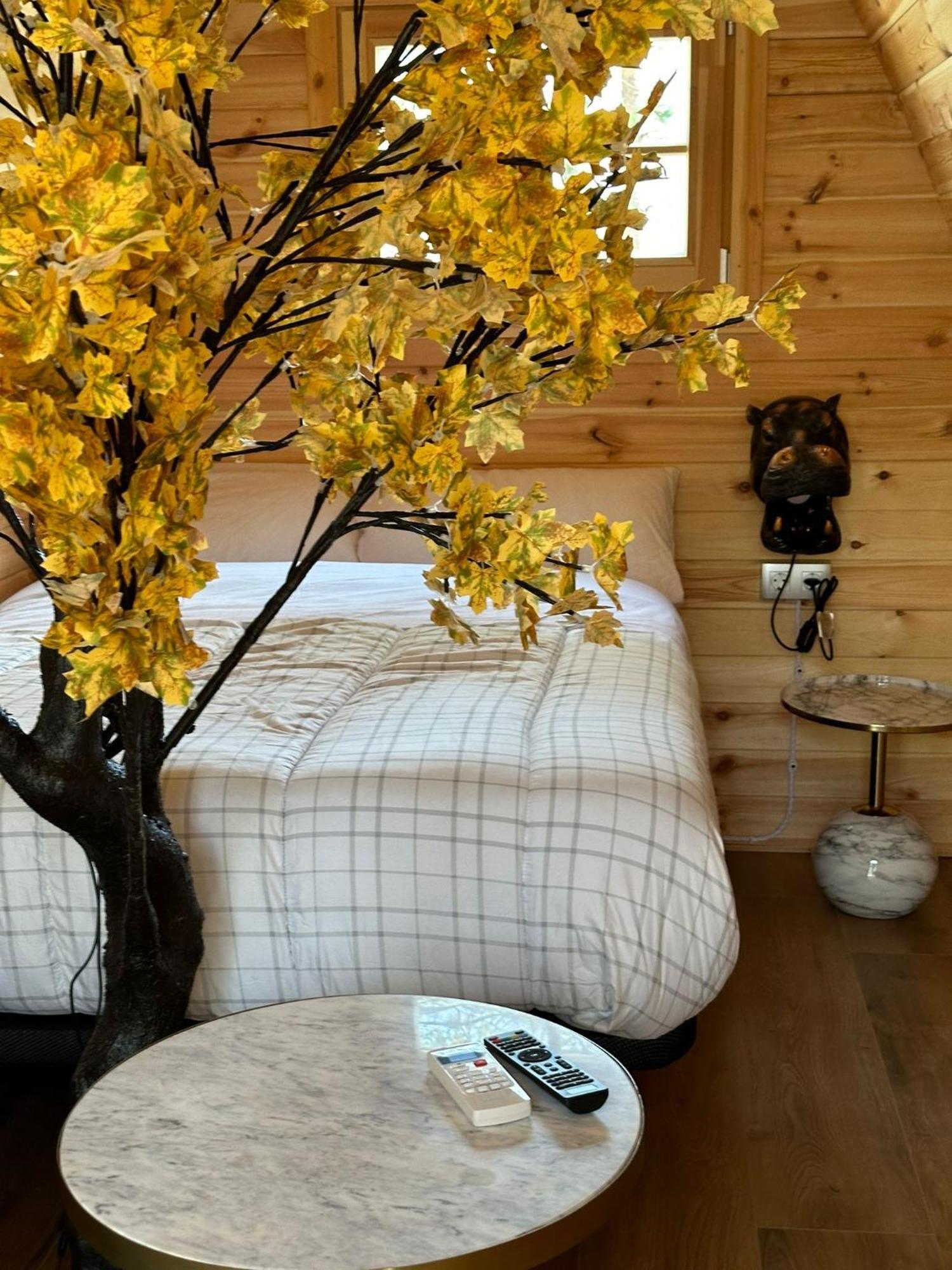 Camping Ripolles Kültér fotó