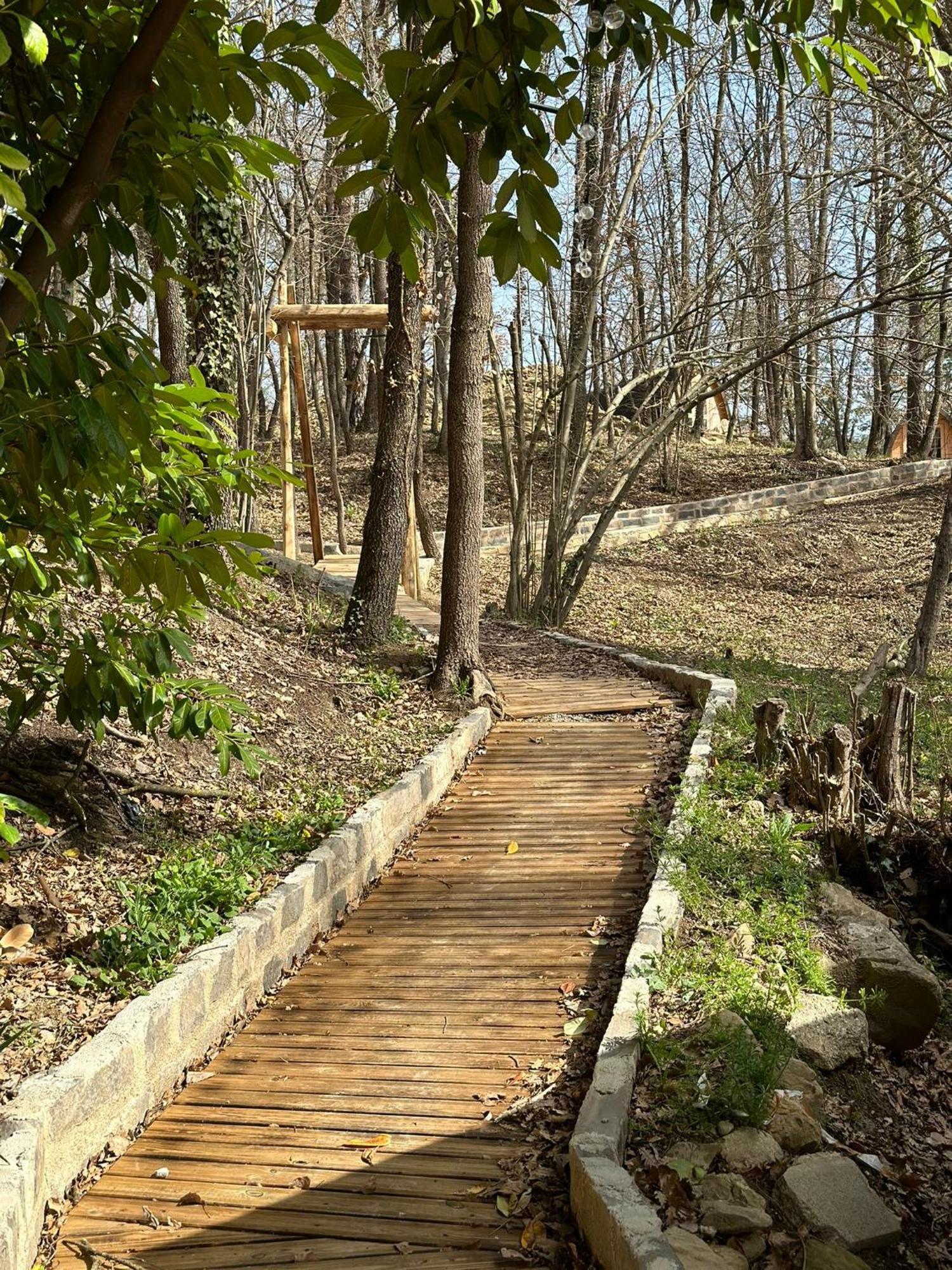 Camping Ripolles Kültér fotó