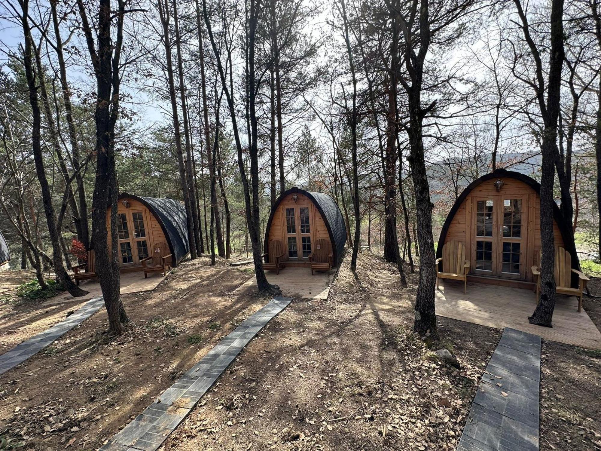 Camping Ripolles Kültér fotó