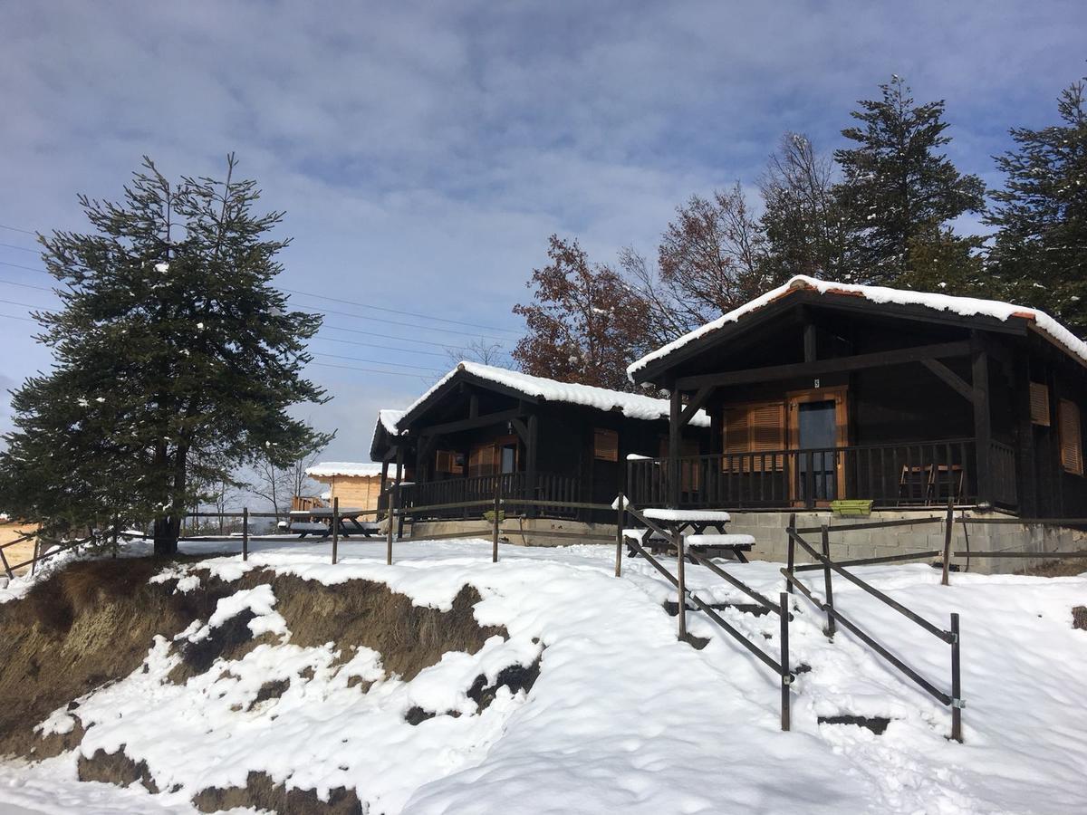 Camping Ripolles Kültér fotó